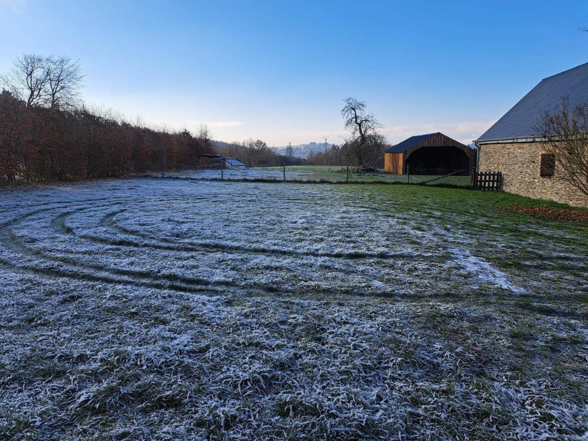 Gite L'Olivier A Filly - Nadrin, Entre Houffalize Et La Roche-En-Ardenne Exteriör bild