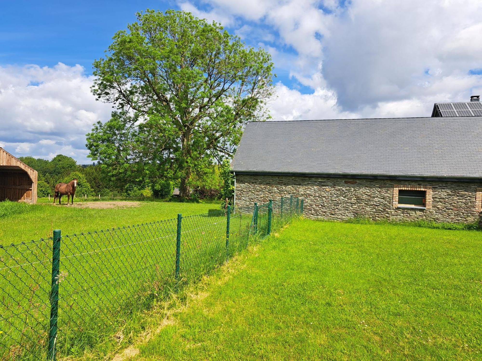 Gite L'Olivier A Filly - Nadrin, Entre Houffalize Et La Roche-En-Ardenne Exteriör bild